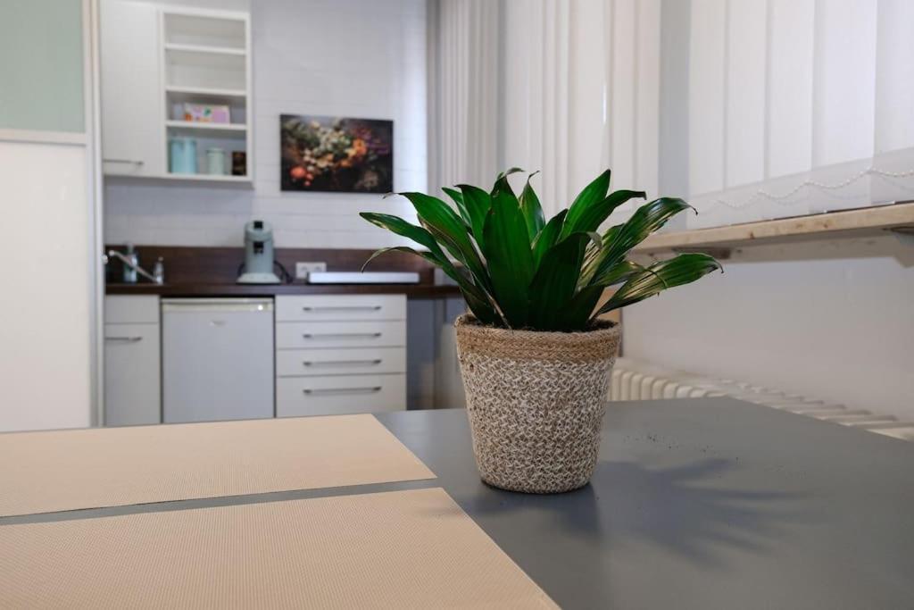 Appartement Schlosscasa *
